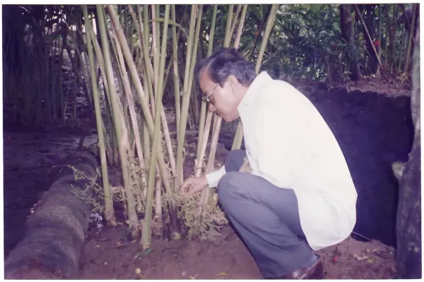 Inspecting a cardamom plant in Kerala.